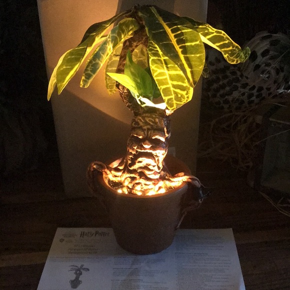 Pottery Barn World of Harry Potter Herbology Lit Mandrake Root from Hogwarts - Picture 3 of 9